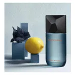 Fusion D'Issey eau de toilette 100 ml til mænd