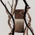 L'Eau d'Issey Pour Homme Wood&Wood parfumeret vand til mænd 100 ml