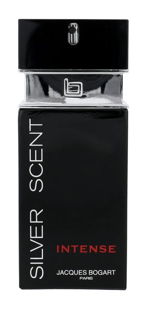 Silver Scent Intense eau de toilette til mænd 100 ml