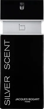 Silver Scent eau de toilette til mænd 100 ml