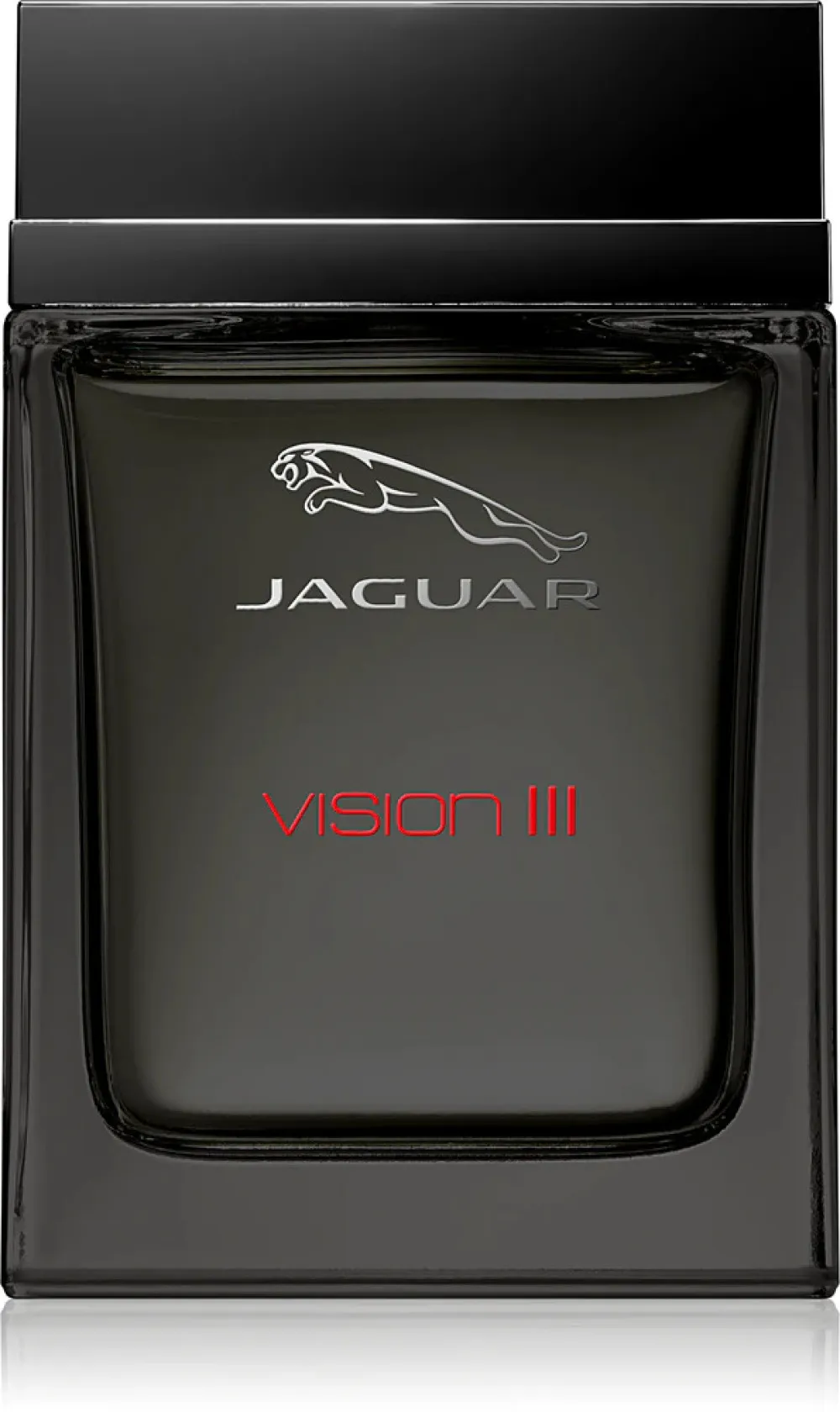 Vision III eau de toilette til mænd 100 ml