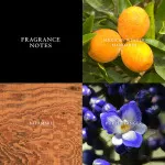 Artisan eau de toilette til mænd 125 ml