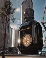 25 Experience parfumeret vand unisex 100 ml