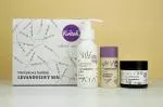 Kvitok Lavender Dream gavepakke - brusebad, deodorant og kropscreme