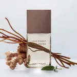 L'Eau d'Issey Pour Homme Vétiver Intense eau de toilette til mænd 100 ml