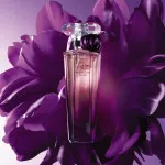 Trésor Midnight Rose parfumeret vand til kvinder 50 ml