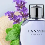 L'Homme eau de toilette til mænd 100 ml