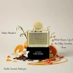 Rave Pure Desire Gold Eau de Parfum til kvinder 100 ml