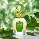 Tameen Collection Musk Wild Vanille parfumeret vand til kvinder 100 ml