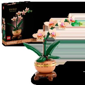LEGO® Botanicals 10343 Miniature orkidé