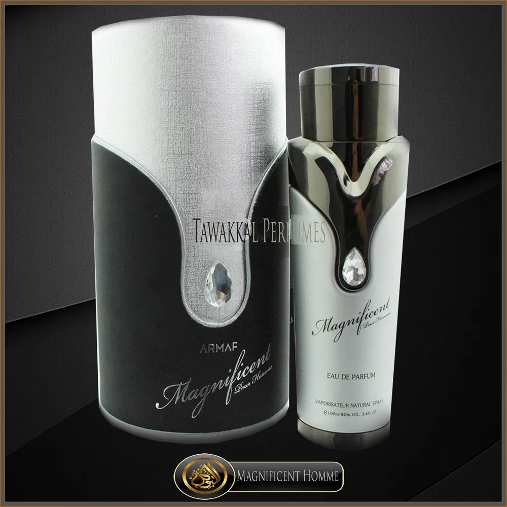 Magnificent Pour Homme parfumevand til mænd 100 ml