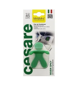 Mr&Mrs Fragrance Cesare Warm Spicy duft til bil grøn