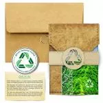 Green Banana Paper Mt. Finkol Accordion 