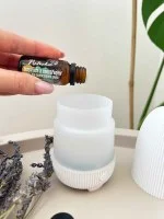 Natasha Blanding af æteriske olier (10 ml) - Inspiration og koncentration