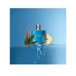 Voyage eau de toilette til mænd 100 ml