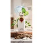 Noble Cedar parfumeekstrakt unisex 100 ml