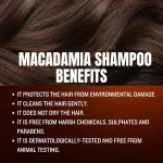 Shampoo med olieekstrakt 400 ml