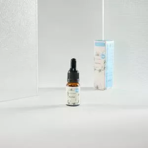 Kvitok Ansigtsserum - Aloe vera 10ml