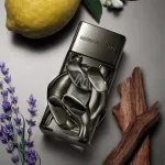 Pour Homme Absolu parfumevand til mænd 30 ml