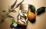 Pour Homme Absolu parfumevand til mænd 30 ml