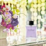Daarej Pour Femme Eau de Parfum til kvinder 100 ml