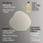3-i-1 Tea Tree shampoo-balsam-kropsvask shampoo til mænd 3-i-1 til mænd 350 ml