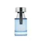 Luminus Pour Homme Eau de Parfum til mænd 100 ml