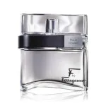 F by Ferragamo Black eau de toilette til mænd 100 ml