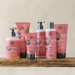 Urtekram Shampoo med vilde roser 500 ml BIO