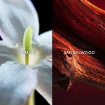 Samsara Eau de Toilette til kvinder 75 ml