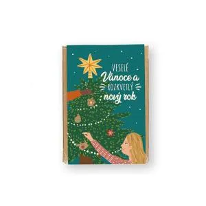 Blossombs Frøbomber - Mini gavesæt - Magisk jul (4 stk)