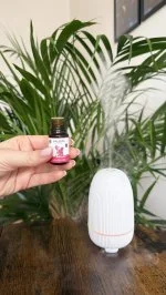 Taoasis Baldini Aromasæt All the Love ØKO (5 ml) - harmoniserende duft med stendiffuser
