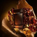 The One Pour Homme parfume til mænd 100 ml