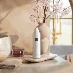 The Ritual of Sakura Skummende brusegelé