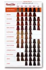 Henné Color Tinted hair dressing med en høj grad af beskyttelse og pleje Premium 100ml Chestnut