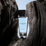 Touch for Men eau de toilette til mænd 100 ml