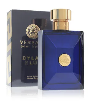 Versace Dylan Blue Pour Homme eau de toilette til mænd 100 ml