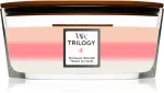 Trilogy Blooming Orchard duftlys med trævæge 453,6 g