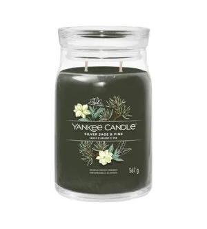 Yankee Candle Silver Sage & Pine signaturlys stort 567 g