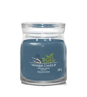 Yankee Candle Bayside Cedar signature lys mellem 368 g