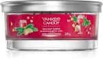 Holiday Cheer signature tumbler 5 knuder 340 g