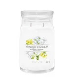Midnight Jasmine signature lys stor 567 g