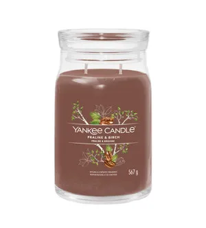 Yankee Candle Praline & Birch signaturduftlys stor 567 g