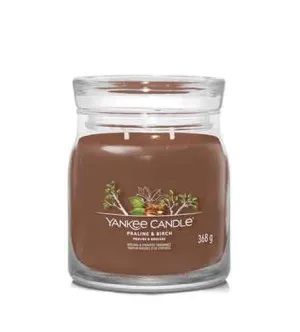 Yankee Candle Praline & Birch signature lys mellem 368 g