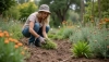 # Invasive planter i haven og hvordan man slipper af med dem

Invasive planter kan hurtigt overtage 