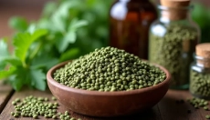 Hvordan man korrekt bruger brændenældefrø til dit helbred