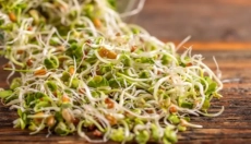 Find ud af, hvordan spirer forbedrer sundhed og vitalitet