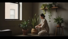 # Které pokojové rostliny zvolit do tmavších bytů

Her is the translation:

# Hvilke stueplanter ska