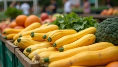 Opdag opskrifter med spaghettisquash og glæd hele familien
