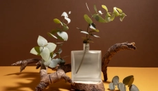Den fascinerende historie om moskusduften i parfumeri